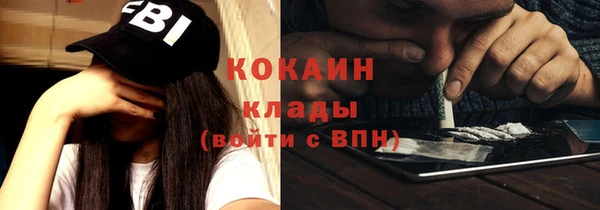 мет Алексин