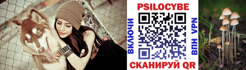 Псилоцибиновые грибы ЛСД  даркнет состав  Старая Купавна  наркошоп 